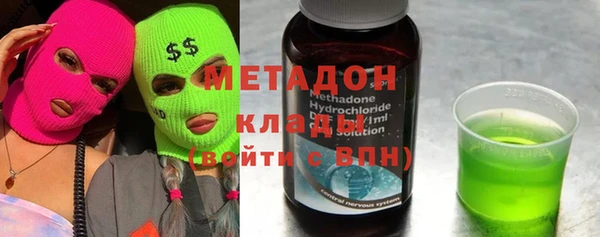 прущие грибы Алзамай