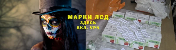 прущие грибы Алзамай