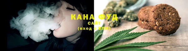 прущие грибы Алзамай