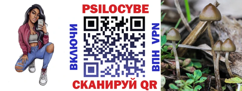 Галлюциногенные грибы Psilocybine cubensis  наркотики  Ангарск 